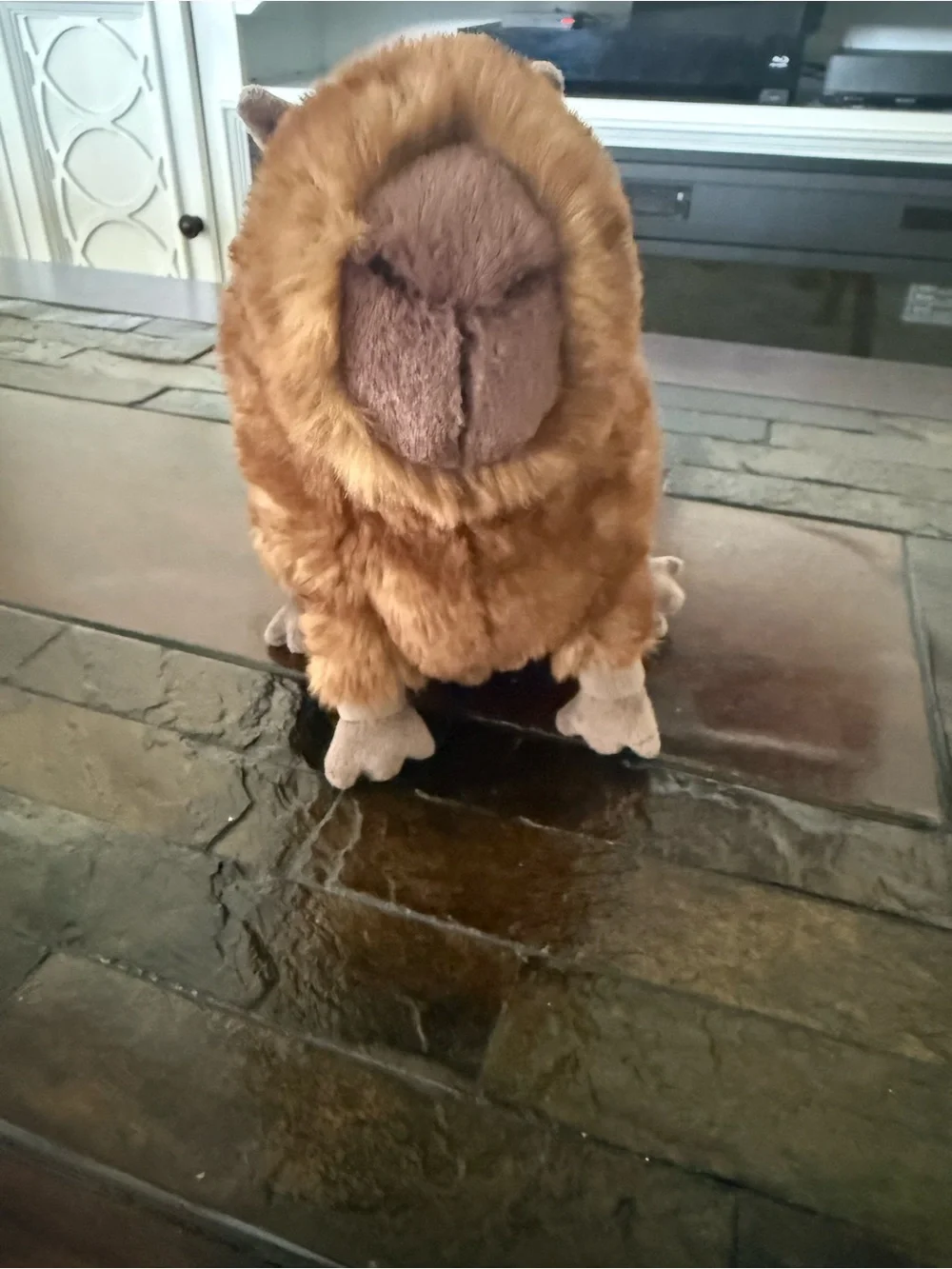 Jellycat Tan and Dark Brown Capybara Plush - Picture 10 of 11
